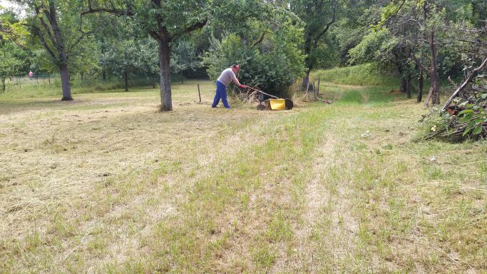 Letzter Schnitt im Herbst Grünflächenpflege /Streuobstwiesen